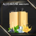 ALIBARBAR INGOT 9000 Disposable Vape
